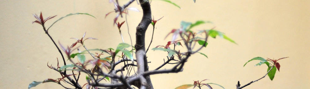 18 yr old gay live sex talk Cost-free